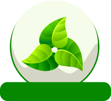 Biomasa
