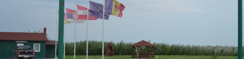 Rebina Group - Energii regenerabile din biomasa