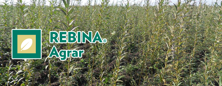 rebina-agrar